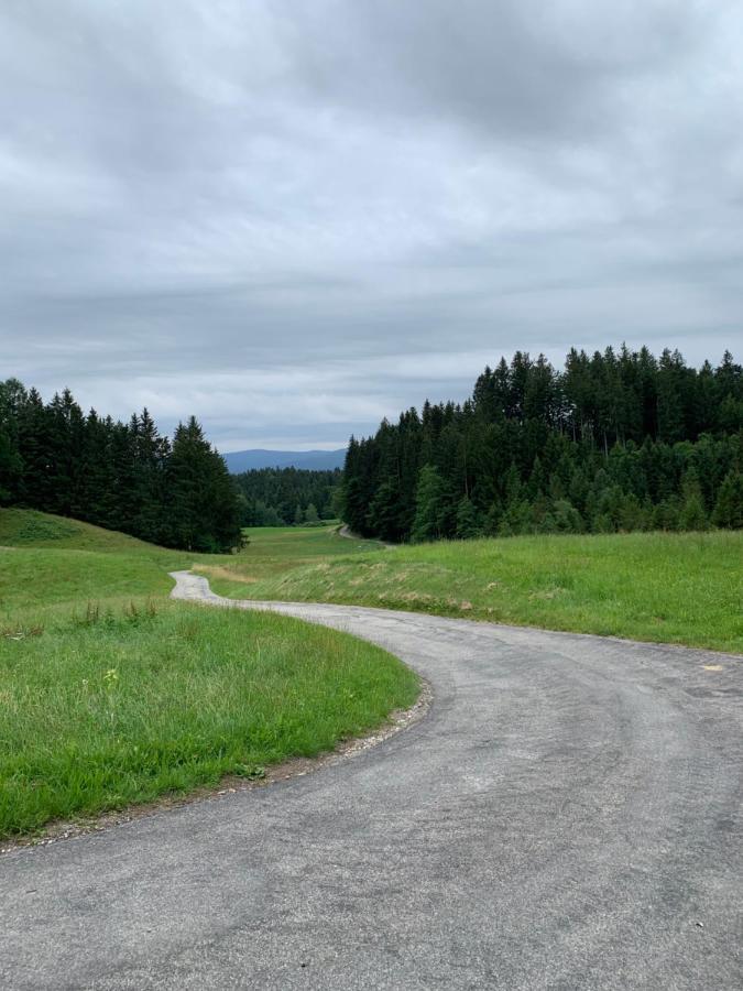 Apartman Artemis Bešeňová Esterno foto